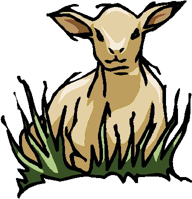 Sheep clip art