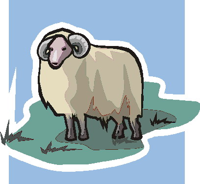 Sheep clip art