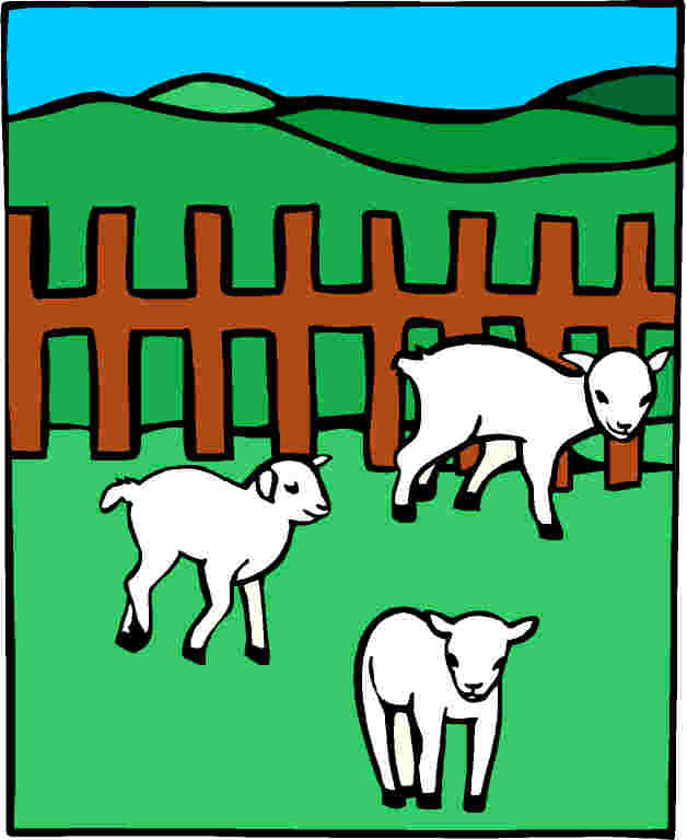 Sheep clip art