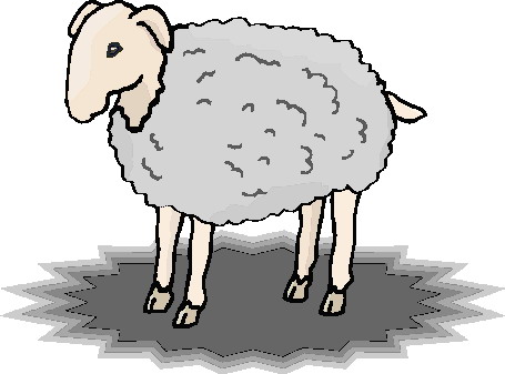 Sheep clip art