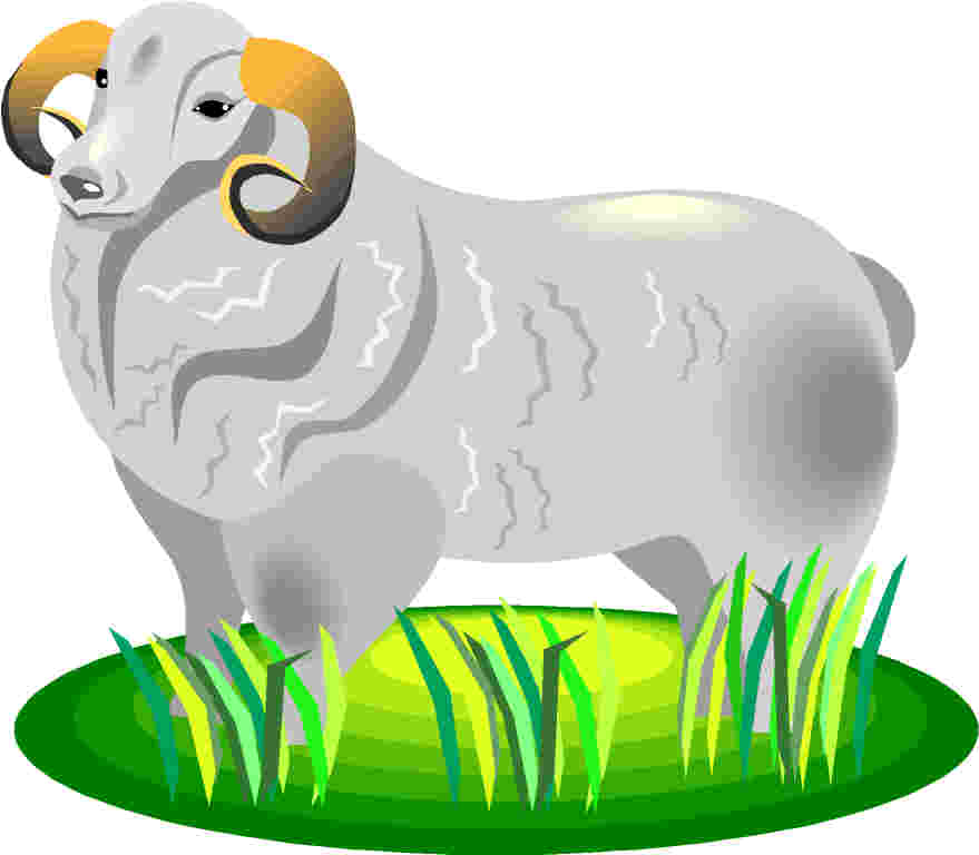 Sheep clip art