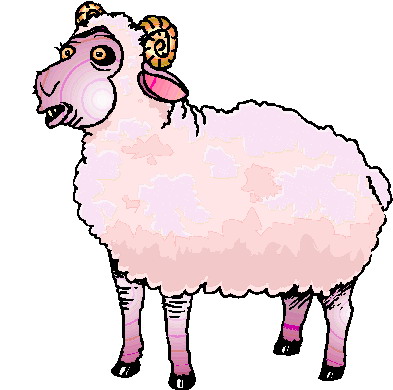 Sheep clip art