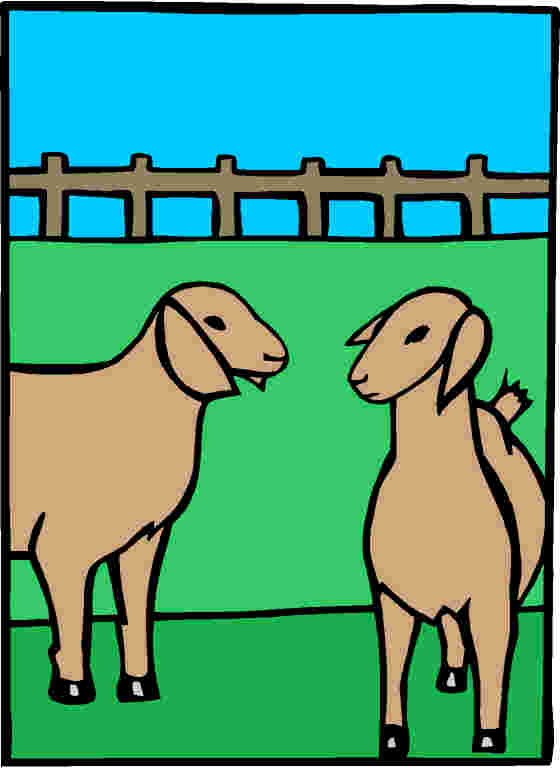 Sheep clip art