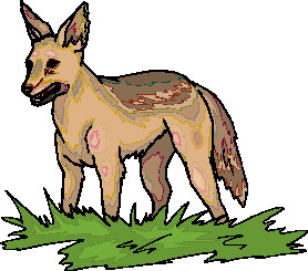 Wolves clip art