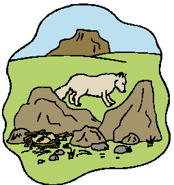 Wolves clip art