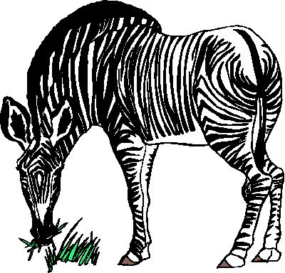 Zebras clip art