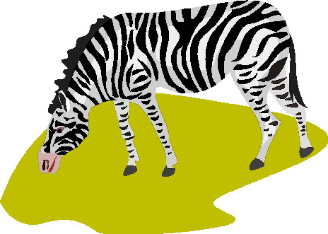 Zebras