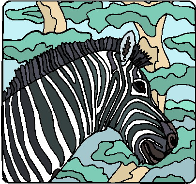 Zebras