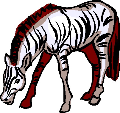 Zebras