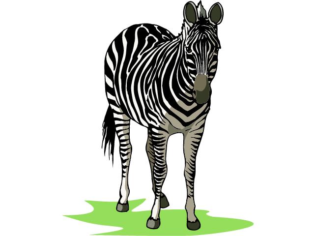 Zebras clip art