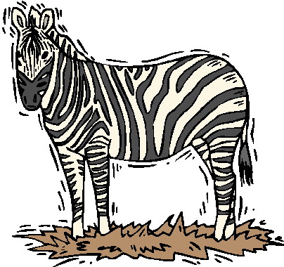 Zebras clip art