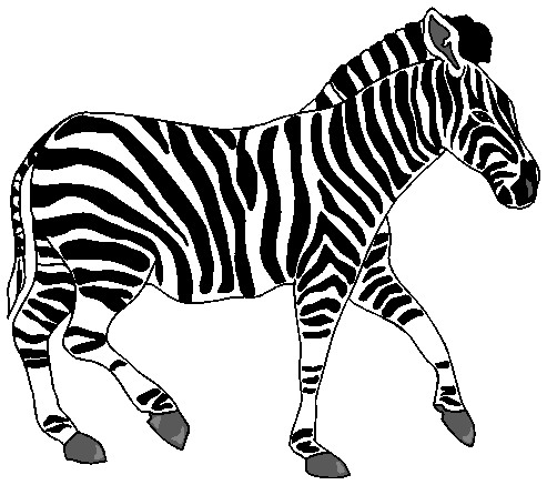 Zebras clip art