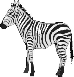 Zebras clip art