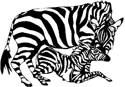 Zebras clip art