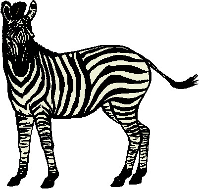 Zebras