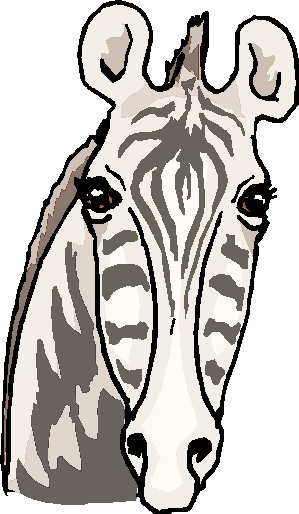 Zebras clip art