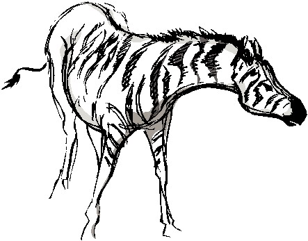 Zebras clip art