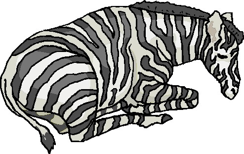 Zebras