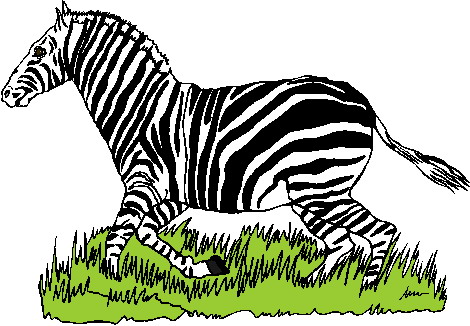 Zebras clip art