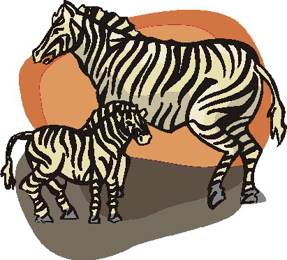 Zebras clip art