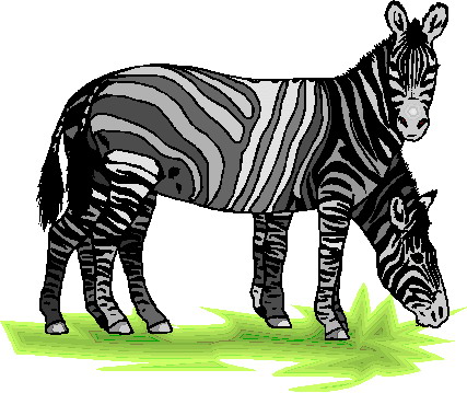 Zebras clip art