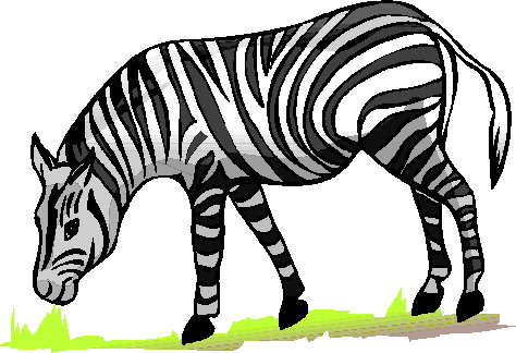 Zebras clip art