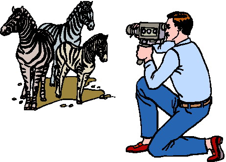 Zebras clip art