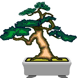 Bonsai clip art