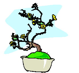 Bonsai