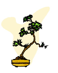 Bonsai clip art