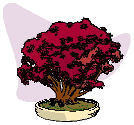 Bonsai clip art