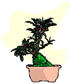 Bonsai clip art