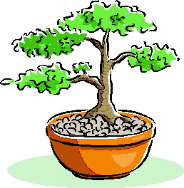 Bonsai clip art