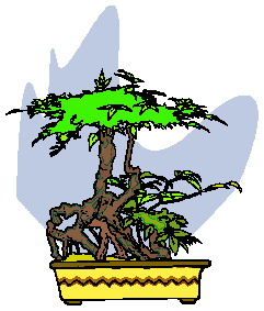 Bonsai