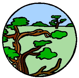 Bonsai clip art