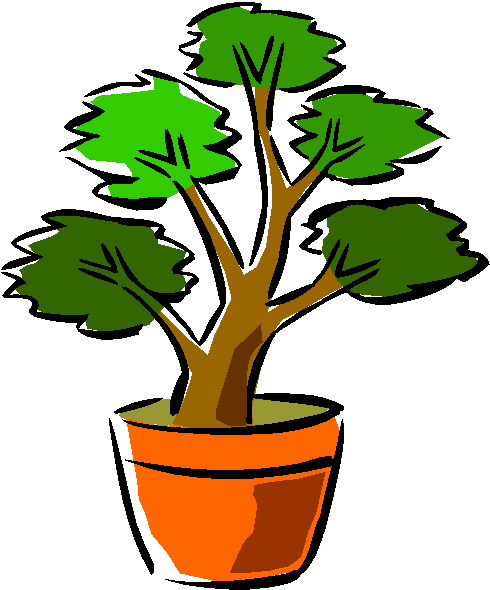 Bonsai clip art