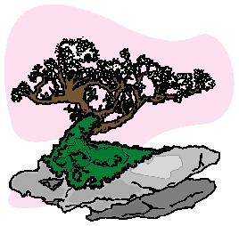 Bonsai clip art