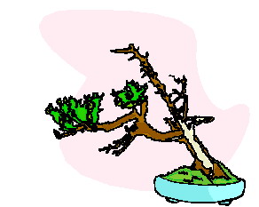 Bonsai clip art