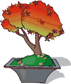 Bonsai clip art