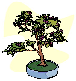 Bonsai clip art