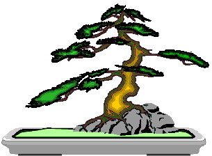 Bonsai clip art