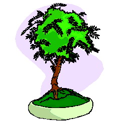 Bonsai clip art