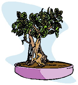 Bonsai clip art