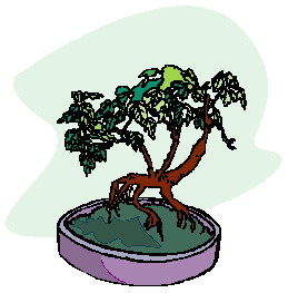 Bonsai clip art