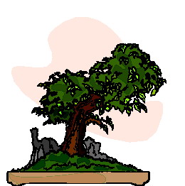 Bonsai clip art