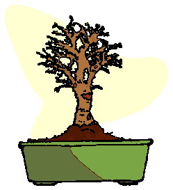 Bonsai