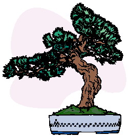 Bonsai clip art