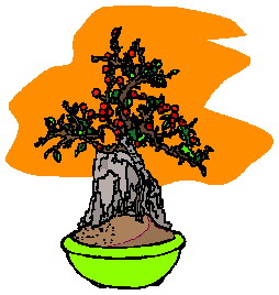 Bonsai clip art