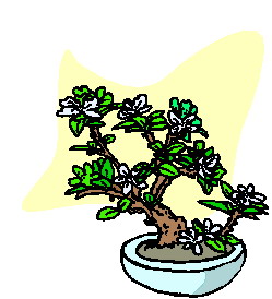 Bonsai clip art