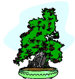 Bonsai clip art